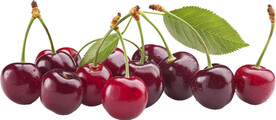 免抠樱桃车厘子图片素材
