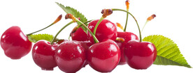 免抠樱桃车厘子图片素材