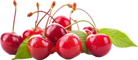 免抠樱桃车厘子图片素材