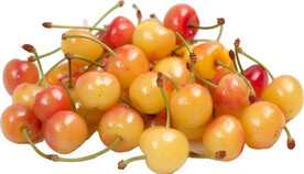 免抠樱桃车厘子图片素材