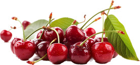 免抠樱桃车厘子图片素材