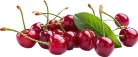 免抠樱桃车厘子图片素材