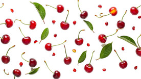 免抠樱桃车厘子图片素材