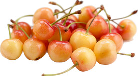 免抠樱桃车厘子图片素材