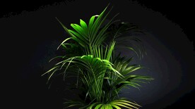 绿色植物