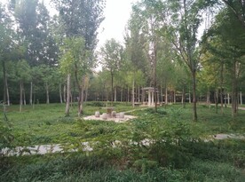 公园小亭