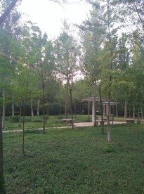公园小亭