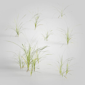 C4D模型 绿色植物