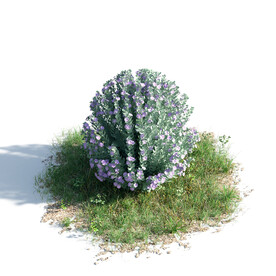 C4D模型 绿色植物