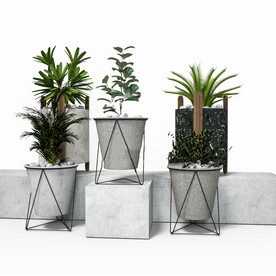 C4D模型 绿色植物