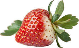 高清草莓免抠图素材