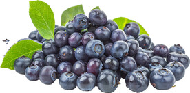 高清蓝莓免抠图素材