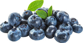 高清蓝莓免抠图素材