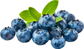 高清蓝莓免抠图素材