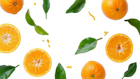 高清橙子免抠图素材