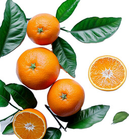 高清橙子免抠图素材