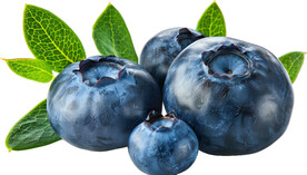 高清蓝莓免抠图素材