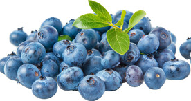 高清蓝莓免抠图素材