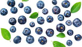 高清蓝莓免抠图素材