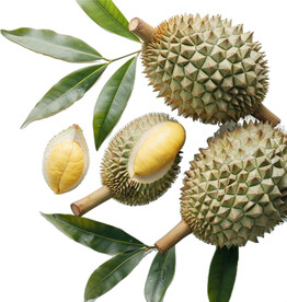 高清水果免抠图素材