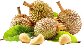 高清水果免抠图素材