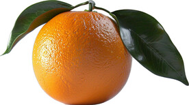 高清橙子免抠图素材