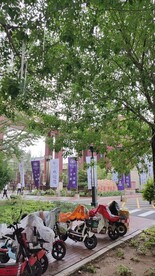 通达学校