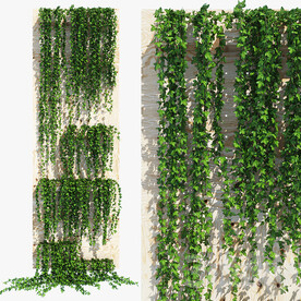 C4D模型 绿色植物