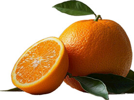 高清橙子免抠图素材图片