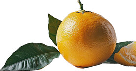 高清橙子免抠图素材图片