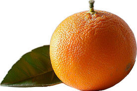 高清橙子免抠图素材图片