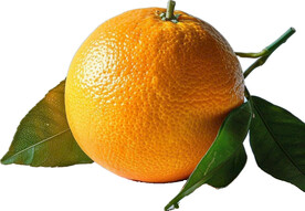 高清橙子免抠图素材图片