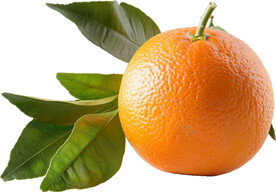 高清橙子免抠图素材图片