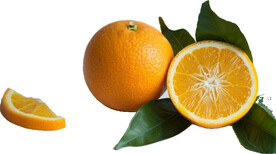高清橙子免抠图素材图片