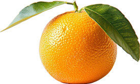 高清橙子免抠图素材图片