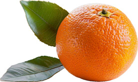 高清橙子免抠图素材图片
