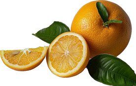 高清橙子免抠图素材图片
