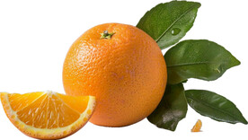 高清橙子免抠图素材图片