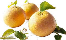 高清橙子免抠图素材图片