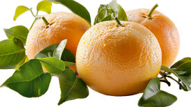 高清橙子免抠图素材图片