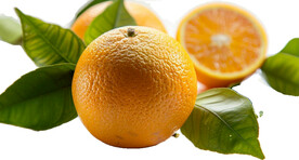 高清橙子免抠图素材图片