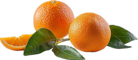 高清橙子免抠图素材图片