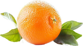 高清橙子免抠图素材图片
