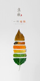 立秋地产海报展架画面图片