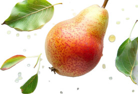 高清梨子免抠图素材图片