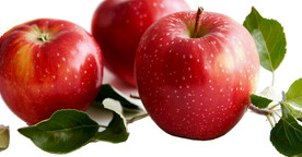 高清苹果免抠图素材图片
