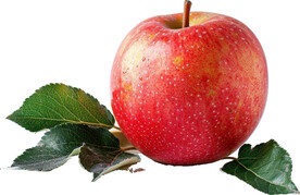 高清苹果免抠图素材图片