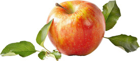 高清苹果免抠图素材图片