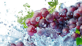 高清葡萄免抠图素材图片