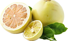 高清柚子免抠图素材图片